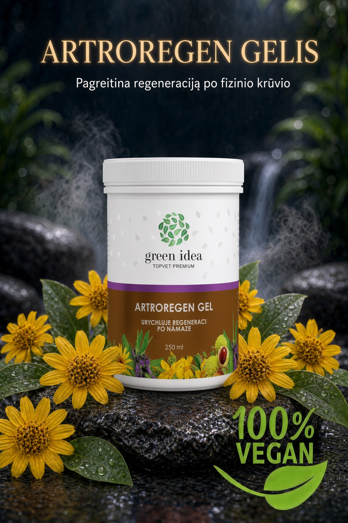 Artroregen gelis 250 ml