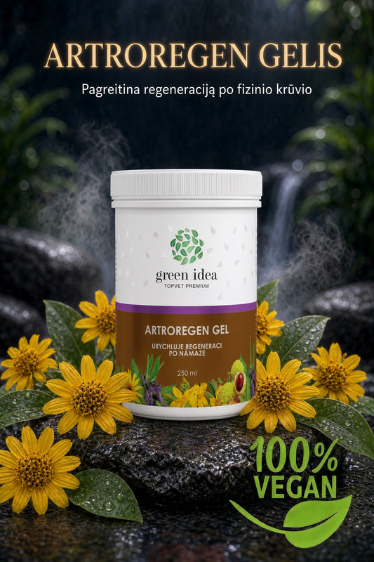 Artroregen gelis 250 ml
