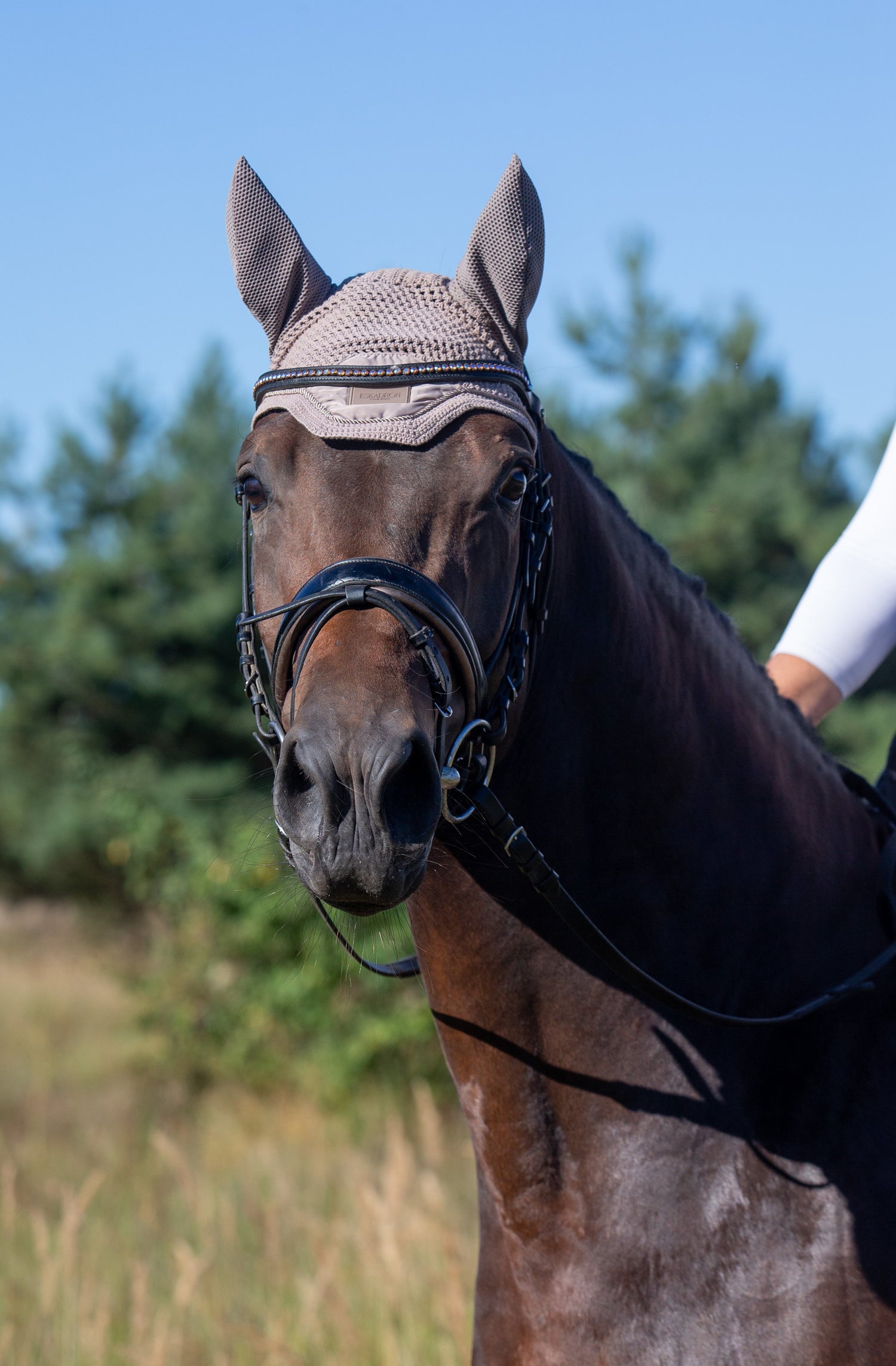 Varžyboms/Atstatymui po varžybų