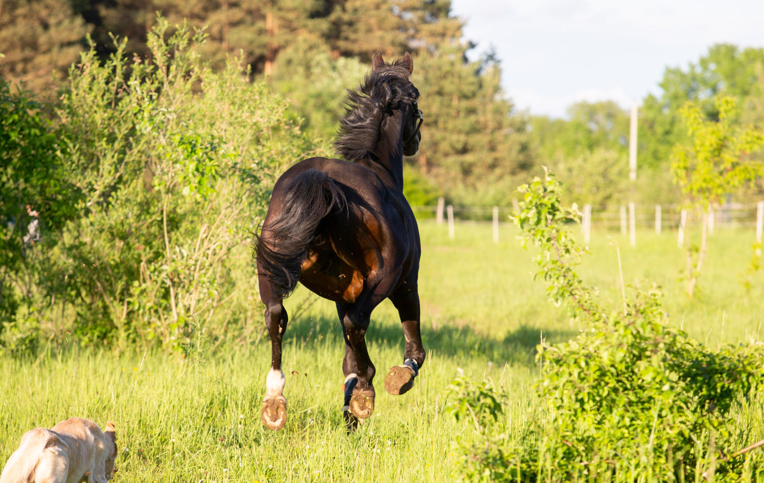 Pagalba respirotarinei sistemai