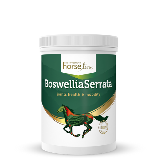 HorseLinePro Boswellia Serrata 500 g