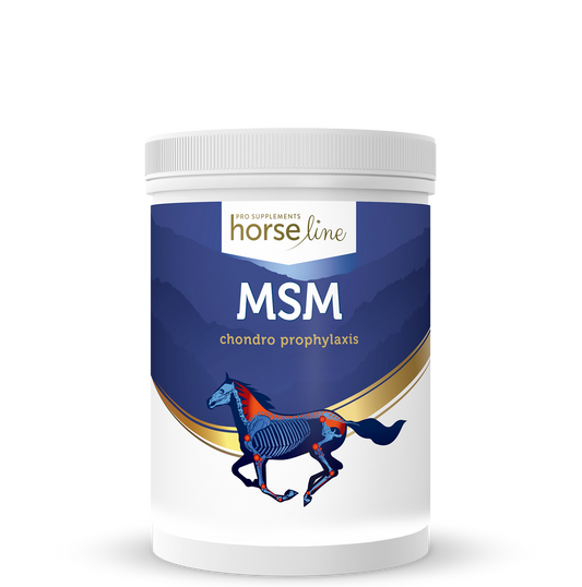 HorseLinePro MSM milteliai 700 g.
