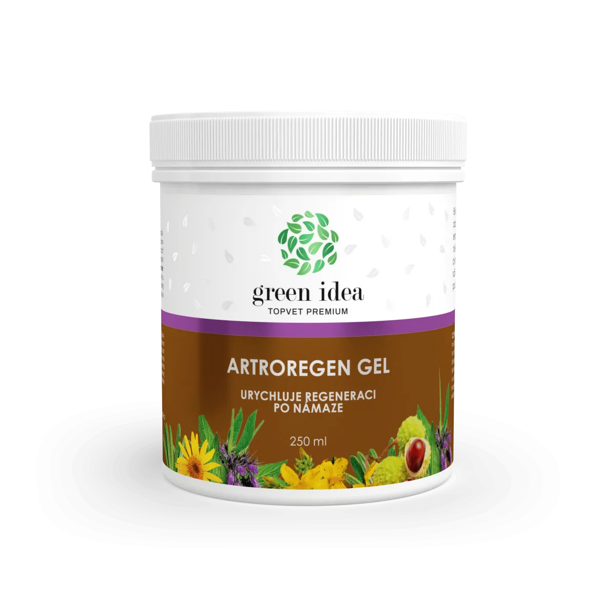 Artroregen gelis 250 ml