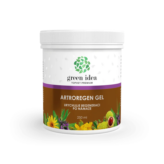 Artroregen gelis 250 ml