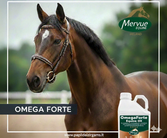 OmegaForte Equine Oil 1 L